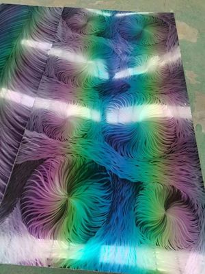 良い値段 Color Coated Stainless Steel Sheet | Durable & Decorative オンライン