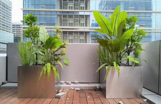 お買い得 豪華ホテル級 ステンレス・スティール レック・タングルプランター LED照明オプション オンライン